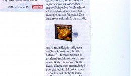 vagtazzcsillagon